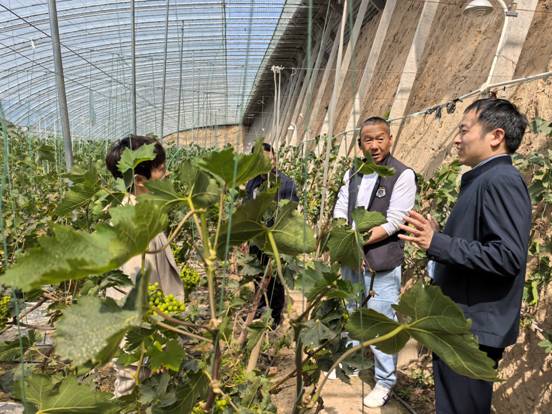 c3bb44622abfb9caf14d01cce93b0c3